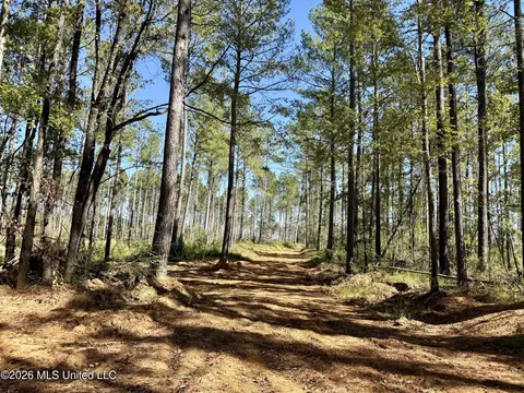 Gunnell Road, Ruth, MS 39662 photo 9