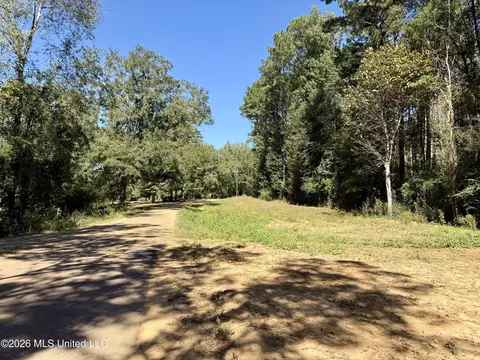 Gunnell Road, Ruth, MS 39662 photo 23