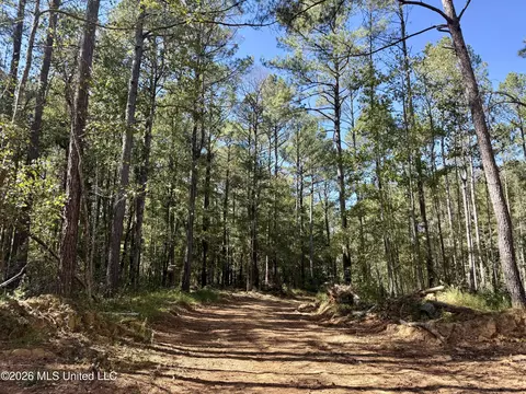 Gunnell Road, Ruth, MS 39662 photo 26