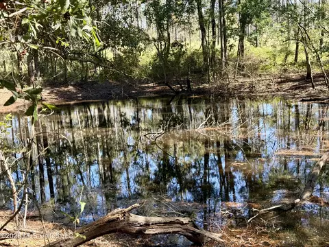 Gunnell Road, Ruth, MS 39662 photo 35