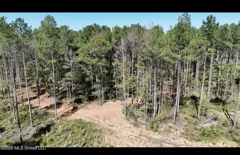 Gunnell Road, Ruth, MS 39662 photo 18