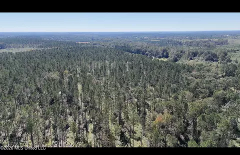 Gunnell Road, Ruth, MS 39662 photo 14