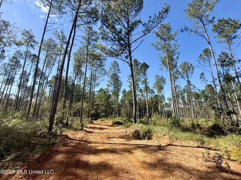 Gunnell Road, Ruth, MS 39662 photo 27