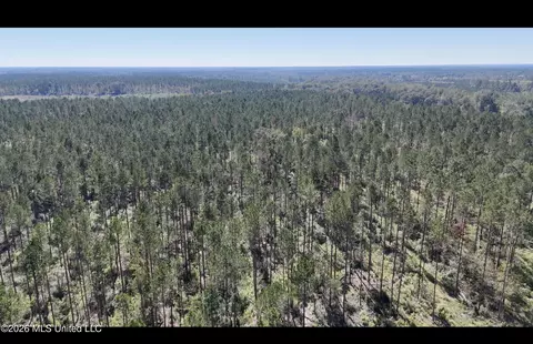 Gunnell Road, Ruth, MS 39662 photo 5