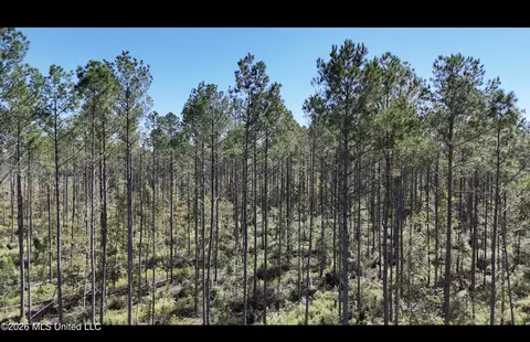 Gunnell Road, Ruth, MS 39662 photo 7