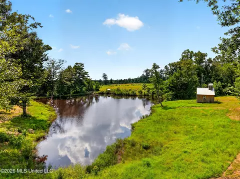 40 Acres Slade Woodward Rd, Poplarville, MS 39470