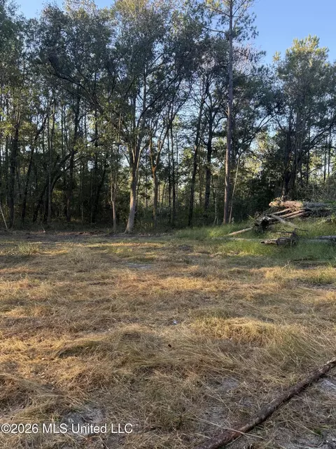 lot8 Big Point Rd, Moss Point, MS 39562 photo 5