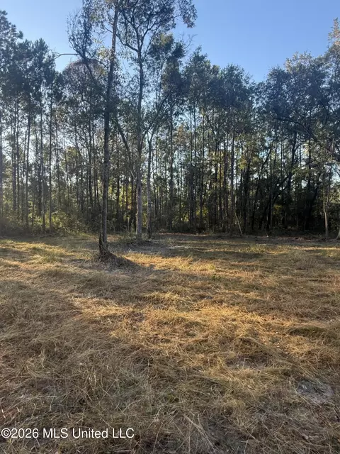 lot8 Big Point Rd, Moss Point, MS 39562 photo 4