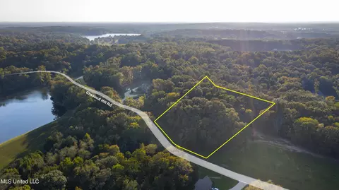 lot97 Chestnut Hill Rd, Flora, MS 39071 photo 8