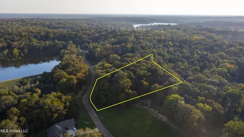 lot97 Chestnut Hill Rd, Flora, MS 39071 photo 7