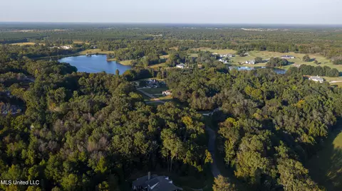 lot97 Chestnut Hill Rd, Flora, MS 39071 photo 14