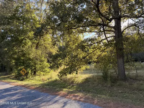 000 Ole Springs Rd, Summit, MS 39666 photo 3