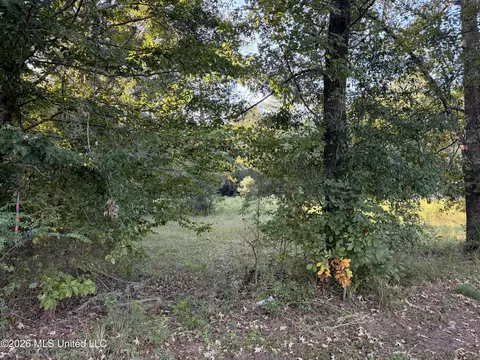 000 Ole Springs Rd, Summit, MS 39666 photo 4