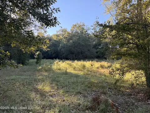000 Ole Springs Rd, Summit, MS 39666 photo 2