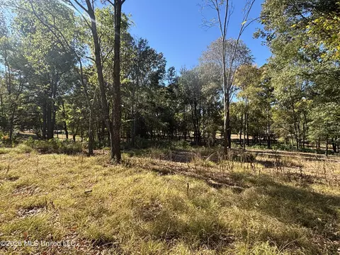 Rolling Meadows, Ridgeland, MS 39157 photo 7