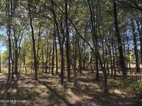 Rolling Meadows, Ridgeland, MS 39157 photo 9