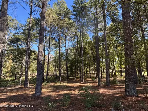 Rolling Meadows, Ridgeland, MS 39157 photo 8