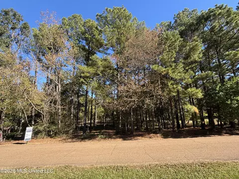 Rolling Meadows, Ridgeland, MS 39157 photo 11