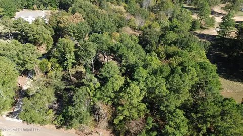 Rolling Meadows, Ridgeland, MS 39157 photo 13