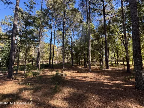 Rolling Meadows, Ridgeland, MS 39157 photo 10