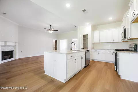 Other - 2248 Josie Ln, Hernando, MS 38632 photo 4 of 9