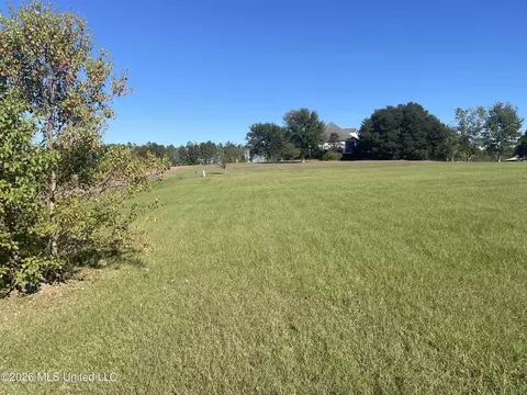 Oakhill Boulevard, Collins, MS 39428 photo 5