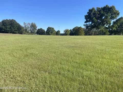 Oakhill Boulevard, Collins, MS 39428 photo 3