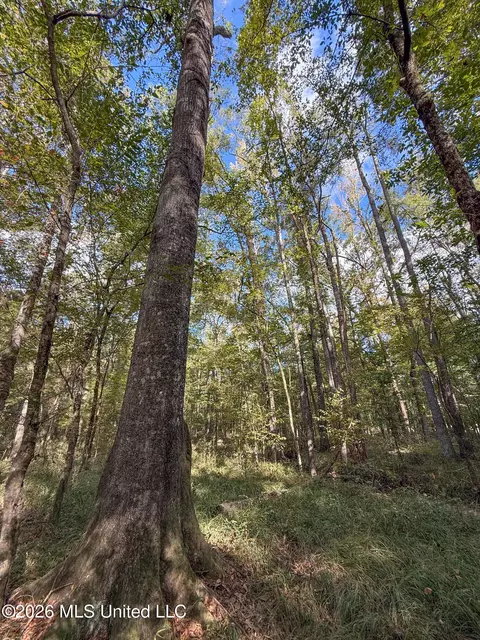 Highway 18, Brandon, MS 39042 photo 9