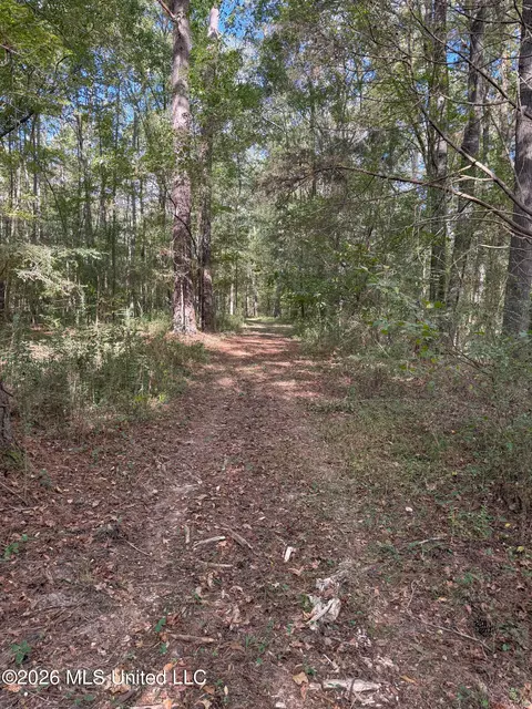 Highway 18, Brandon, MS 39042 photo 2