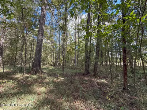 Highway 18, Brandon, MS 39042 photo 6