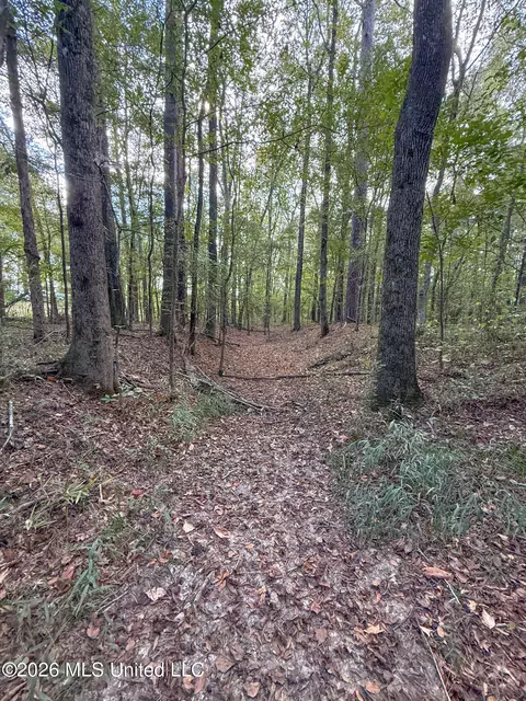 Highway 18, Brandon, MS 39042 photo 10