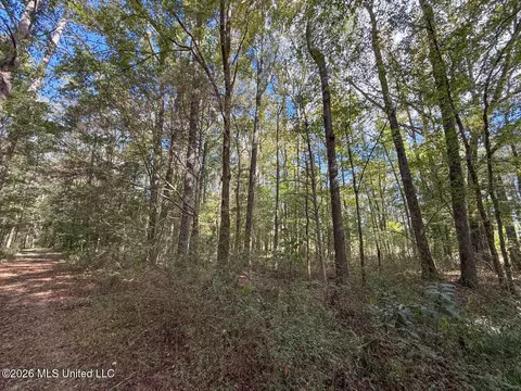 Highway 18, Brandon, MS 39042 photo 3