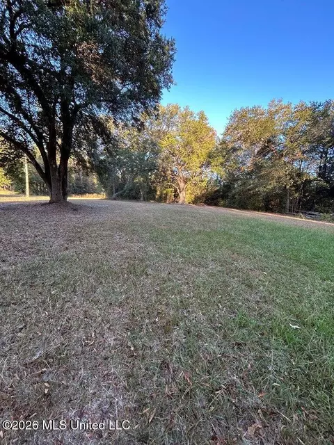 Nhn Hammock Road, Carriere, MS 39426