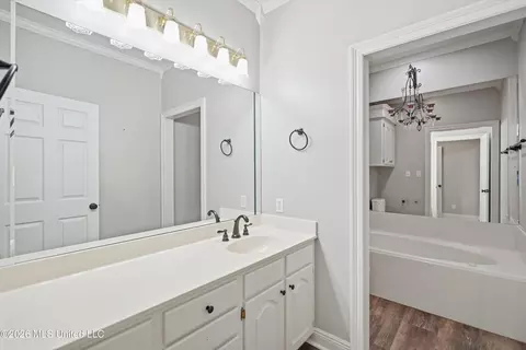 Bath - 1150 Green Gable Pl, Terry, MS 39170 photo 5 of 7