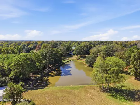View/Area - 1150 Green Gable Pl, Terry, MS 39170 photo 1 of 15