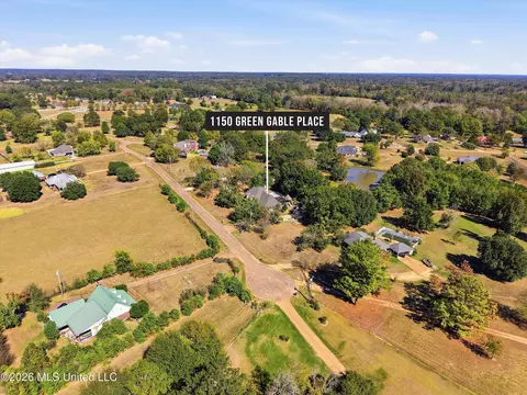 View/Area - 1150 Green Gable Pl, Terry, MS 39170 photo 8 of 15