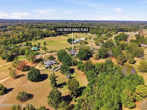 View/Area - 1150 Green Gable Pl, Terry, MS 39170 photo 10 of 15