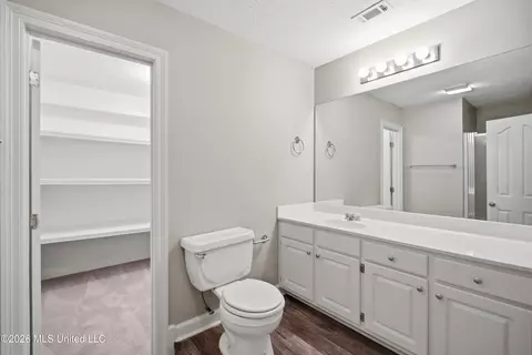 Bath - 1150 Green Gable Pl, Terry, MS 39170 photo 6 of 7