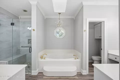 Bath - 1150 Green Gable Pl, Terry, MS 39170 photo 1 of 7