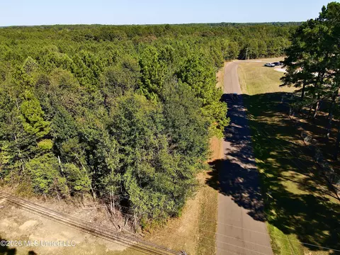N Chestnut Street, Philadelphia, MS 39350