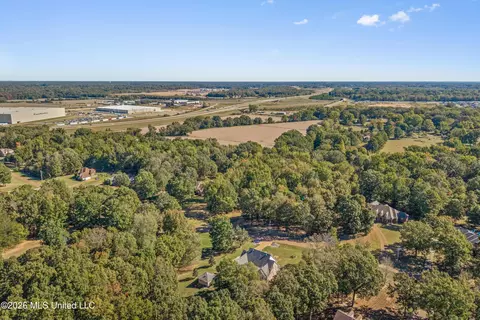 View/Area - 193 E Crockett Loop, Hernando, MS 38632 photo 3 of 3