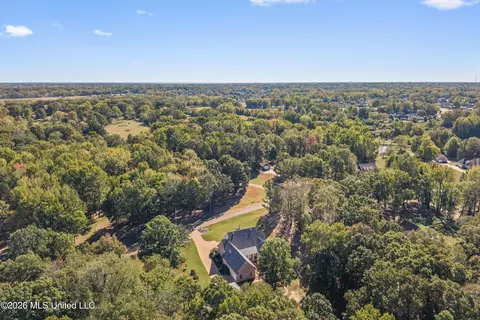 View/Area - 193 E Crockett Loop, Hernando, MS 38632 photo 2 of 3