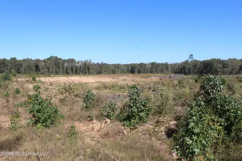 S Highway 51 Highway, Brookhaven, MS 39601 photo 5