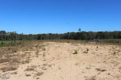 S Highway 51 Highway, Brookhaven, MS 39601 photo 7