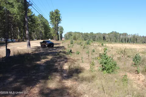 S Highway 51 Highway, Brookhaven, MS 39601 photo 6