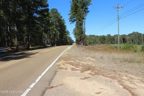 S Highway 51 Highway, Brookhaven, MS 39601 photo 3