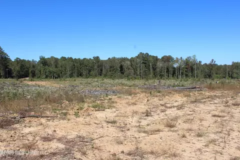 S Highway 51 Highway, Brookhaven, MS 39601 photo 8