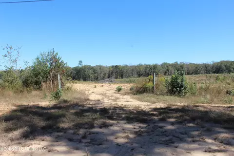S Highway 51 Highway, Brookhaven, MS 39601 photo 2