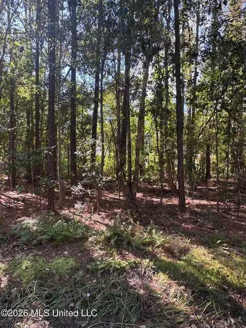 tbd E Greene St, Bay Saint Louis, MS 39520