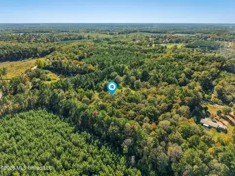View/Area - 689 Silver Ln, Brookhaven, MS 39601 photo 3 of 3